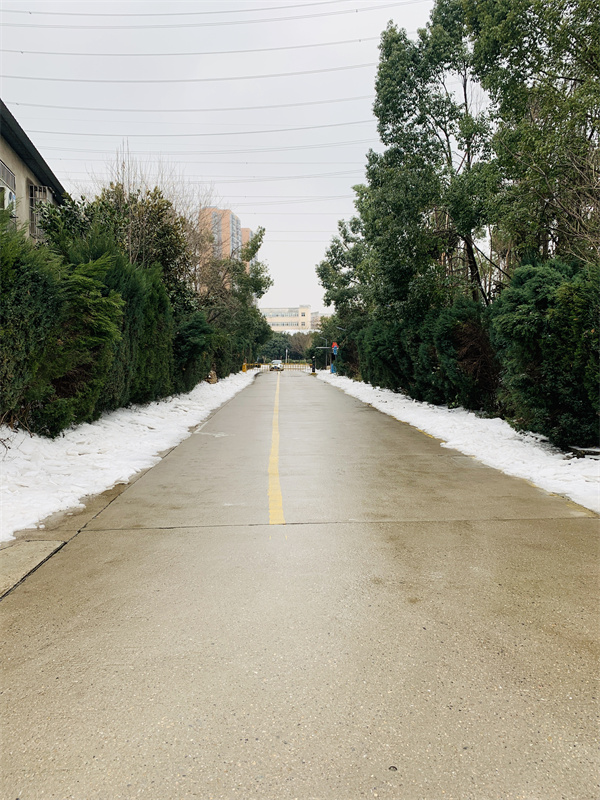 微信图片_20240223154051.jpg 微信图片_20240223154051.jpg