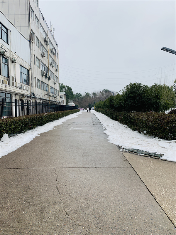 微信图片_20240223154116.jpg 微信图片_20240223154116.jpg