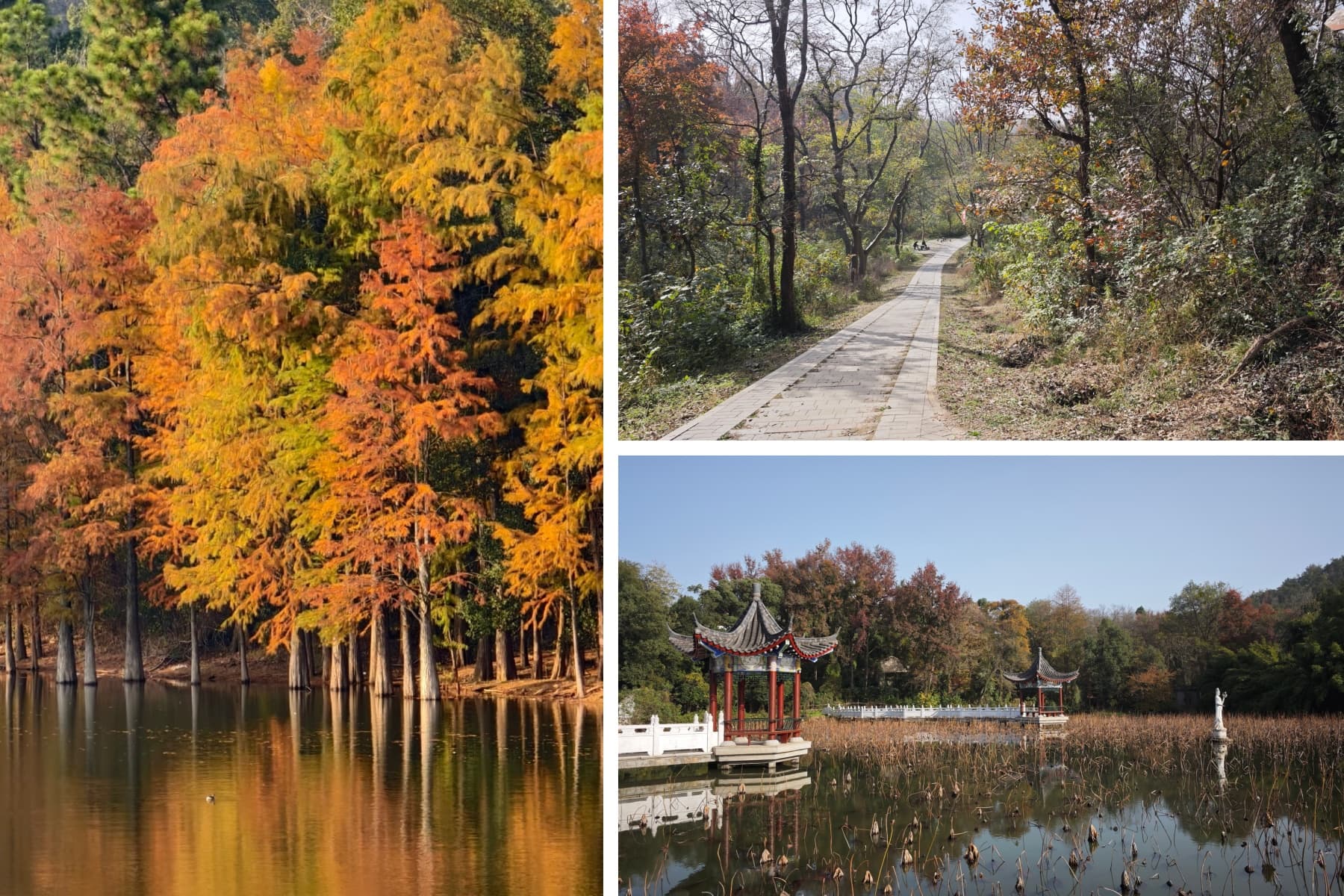 风景拼图 (1).jpg